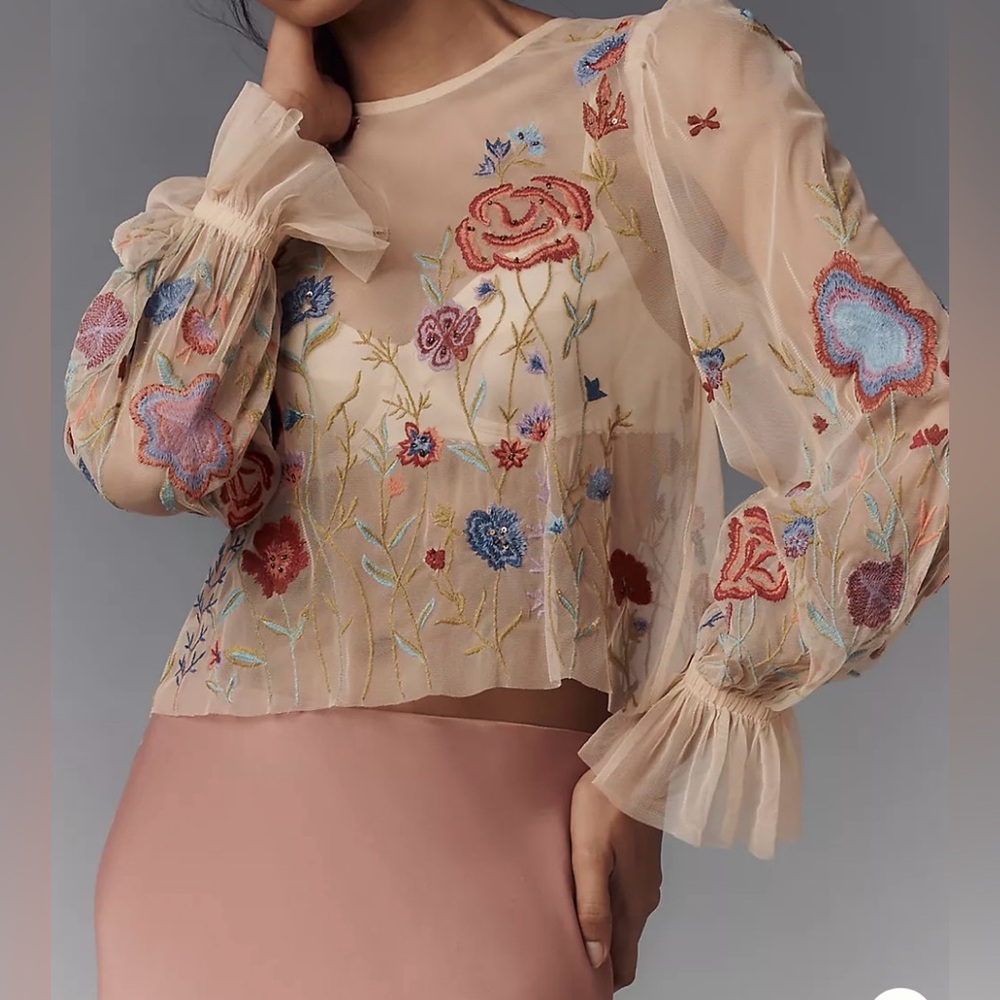 The Layla Long-Sleeve Appliqué Mesh Embroidered Blouse By Anthropologie. NWT
